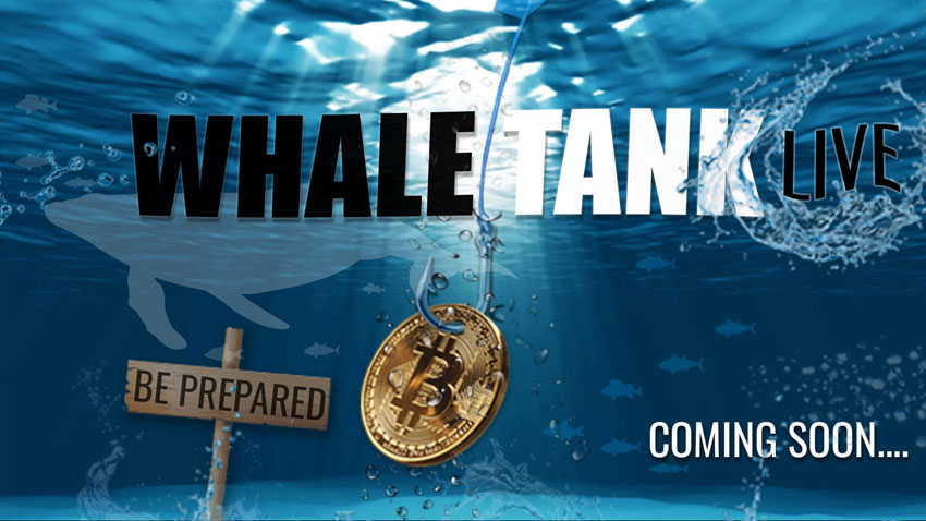 whale_tank_live